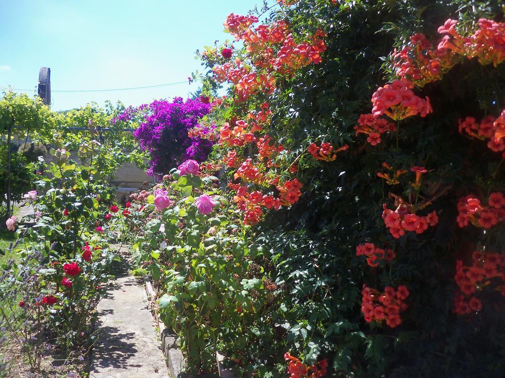Hotel Fuente El Hayedo à San Vicente De La Barquera Extérieur photo